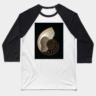 Common nautilus (C022/7617) Baseball T-Shirt